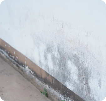 Tratamento definitivo de humidades por capilaridade